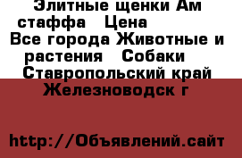 Элитные щенки Ам.стаффа › Цена ­ 25 000 - Все города Животные и растения » Собаки   . Ставропольский край,Железноводск г.